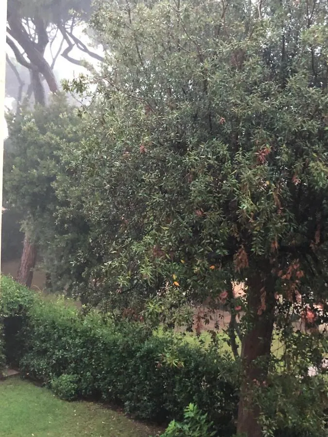 Tender Tirrenia Apartment